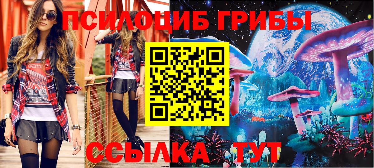 Псилоцибиновые грибы Psilocybe Оренбург