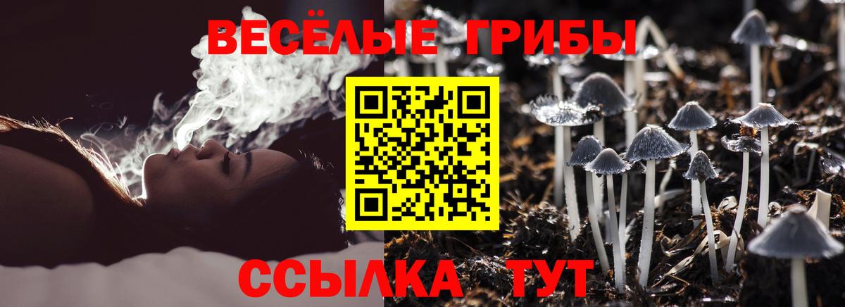 Псилоцибиновые грибы ЛСД  Вход с VPN  цена наркотик  Псилоцибиновые грибы Psilocybe  Оренбург 